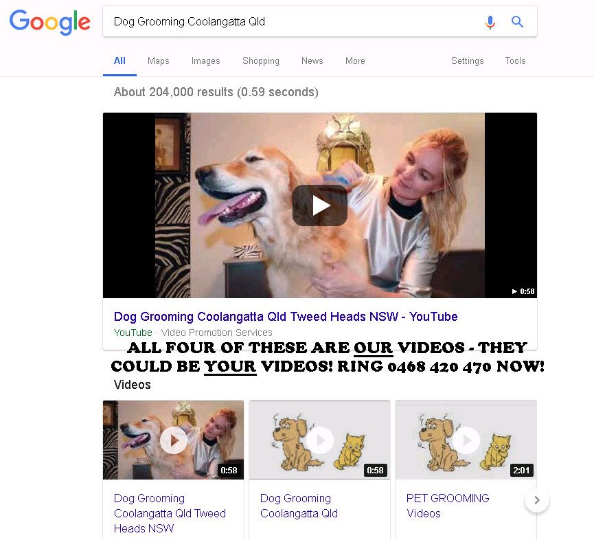 Google Results for Dog Grooming Videos